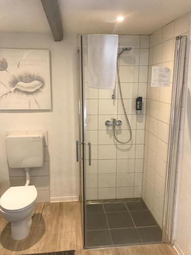 a bathroom with a shower and a toilet at Hotel Gasthof Handewitt in Handewitt