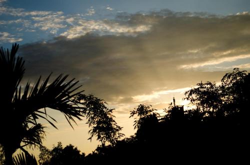 a sunset in the sky with trees in the foreground at Gaodiyuan Tea B&B 高帝園茶業民宿 in Meishan