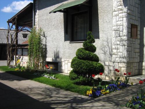 una casa con un árbol de Navidad y flores en el patio en Domaćinstvo Opavski, en Bački Petrovac