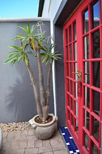 Gambar di galeri bagi Villa Contessa di Beaufort West