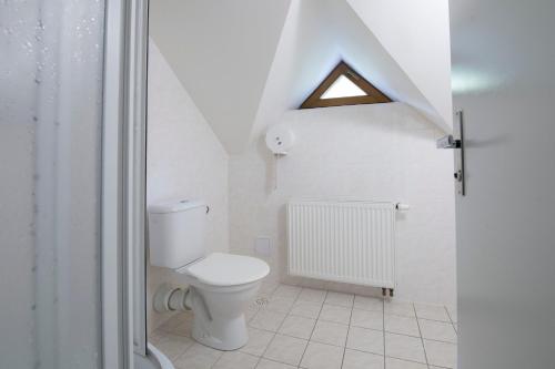 ein weißes Bad mit einem WC und einem Dachfenster in der Unterkunft Penzion Skiland Petříkov in Petříkov