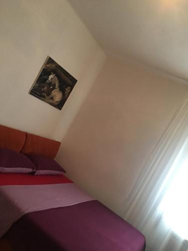Casa Ale – Photos 4