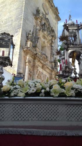 a bunch of white flowers in front of a building at Casa Mirador San Pedro in Arcos de la Frontera