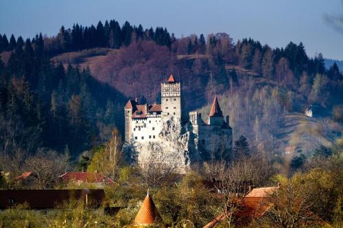 a large castle sitting on top of a mountain at Pensiunea Gentiana in Bran