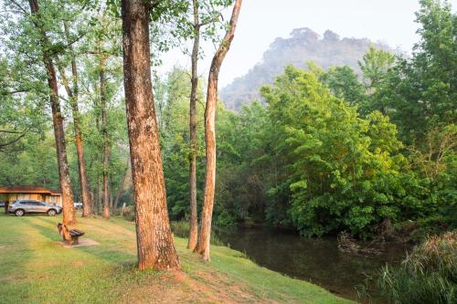 a dog sitting in a park next to a river at Merry Pebbles Resort in Sabie
