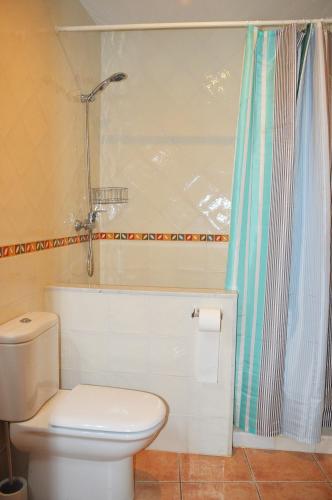 a bathroom with a toilet and a shower at Apartament Esterri Centre in Esterri d'Àneu