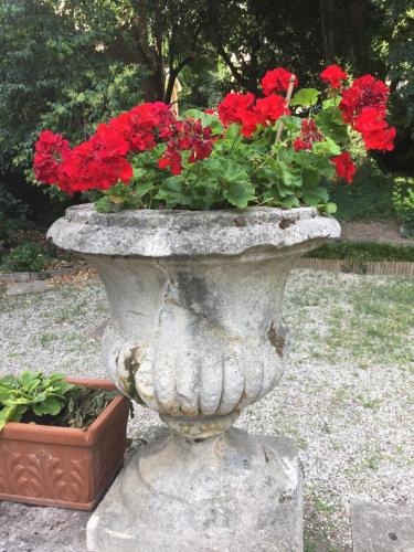a concrete planter with red flowers in it at Palazzo Mantua Benavides Suites & Apartments in Padova