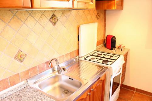 a kitchen with a sink and a stove at Casale Orioles in Torretta