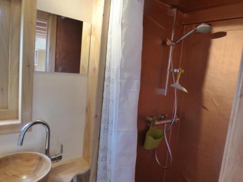 y baño con ducha y lavamanos. en le Vallon des 5 Roses en Saint-Hilaire-du-Maine