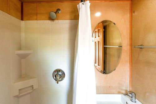 a bathroom with a shower curtain and a mirror at Tiny House in Austin