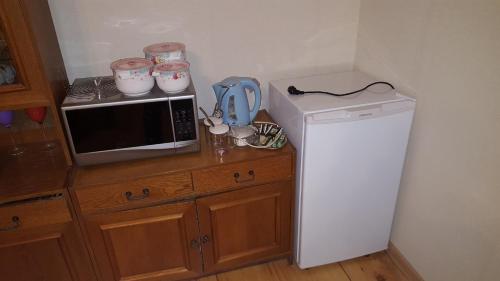 a small kitchen with a microwave and a refrigerator at Apartment Chavchavadze 5 in Sighnaghi
