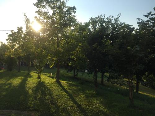 a group of trees with the sun shining through them at B&B Nido Sui Laghi in San Donnino della Nizzola