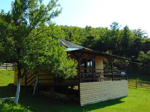 una pequeña cabaña en un campo con un árbol en Forest Lodge on the Pyramid, en Visoko