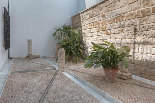 Fotografie z fotogalerie ubytování Los Patios v destinaci Córdoba