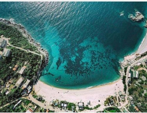 an aerial view of a beach and the ocean at Villa Filip in Vuno