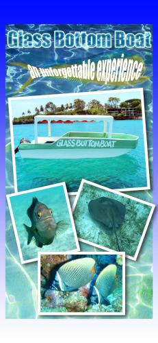 a collage of photos of a fish and a boat at Casa Valeria Boutique Hotel in Sosúa
