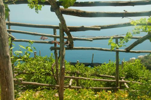a wooden fence with the ocean in the background at Casa Martina in Amalfi