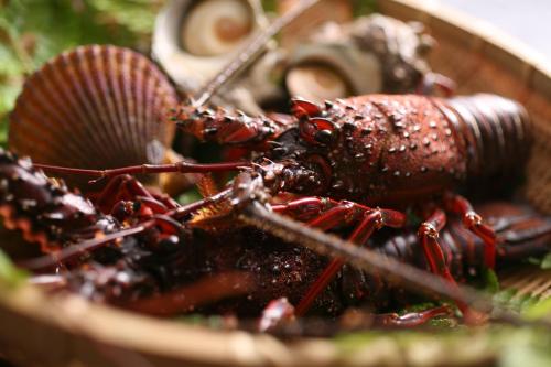 a lobster is sitting in a basket at Tabinoyado Ushionoakari Geiboso in Shima
