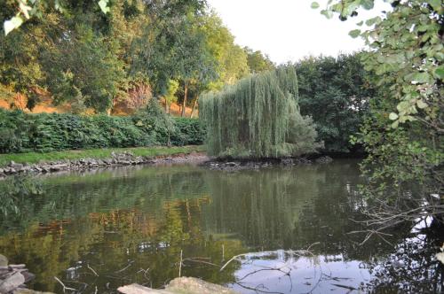 a pond in a garden with trees and bushes at Black Mountain Lodge in Glasbury