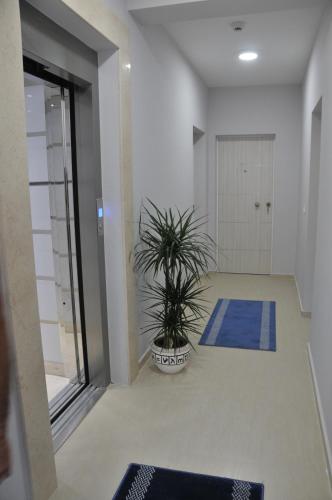 a hallway with a potted plant and a door at Ambassador & Ambassador Lux Apartments in Ulcinj