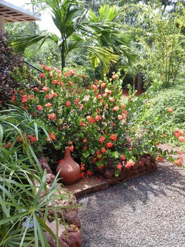 a flower garden with a vase in the middle at Inn Pondiville Forest Retreat in Puducherry