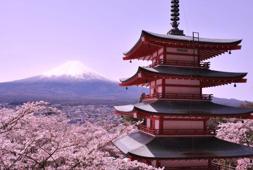 Mt.Fuji Cabin & Lounge Highland Station Inn (Capsule Hotel)