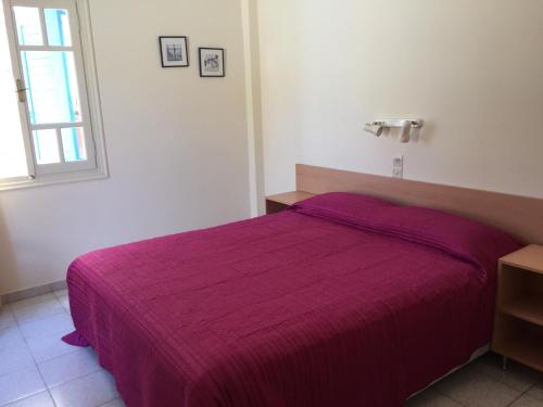a bedroom with a purple bed with a window at Sylvia Studios in Agia Marina Aegina