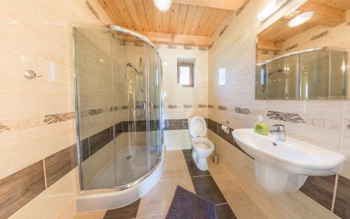 a bathroom with a shower and a sink and a toilet at Bobrówka in Solina