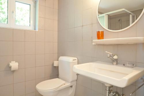 a bathroom with a toilet and a sink and a mirror at Alpes et Lac in La Neuveville