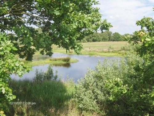 a view of a river through the trees at Hotel Frøslev Kro in Padborg