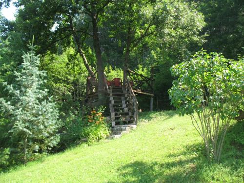 a set of stairs leading up to a tree at Guest House Slivek in Slivek