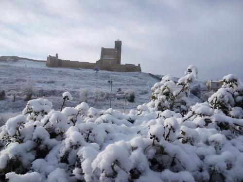 a snow covered bush with a castle in the background at Hostal Delgado in Benabarre