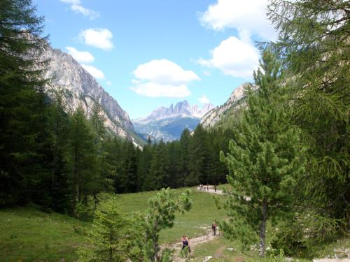 a group of people standing in a field with mountains at Villa Adria B&B in Canazei