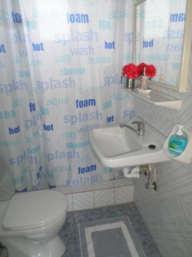 a bathroom with a toilet and a sink and a mirror at Mary's Apartments in Chrani