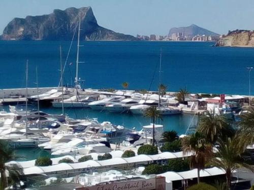 Un montón de barcos atracados en un puerto deportivo en Spanien Bungalow, en Teulada