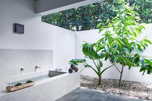 a bathroom with a bath tub and a tree at Templation Hotel in Siem Reap