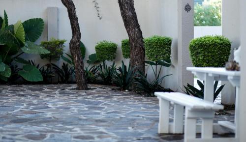 Κήπος έξω από το The Hedge Guesthouse