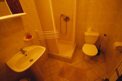 a bathroom with a shower and a toilet and a sink at Pension Klondajk in Harrachov