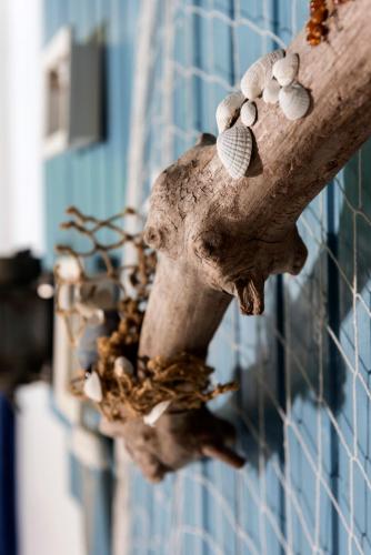 a tree branch with seashells on it next to a building at Frühstückspension Landhaus Lange in Prerow