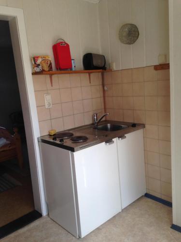 a small kitchen with a sink and a stove at Ferienwohnung Thiemig in Neuhaus