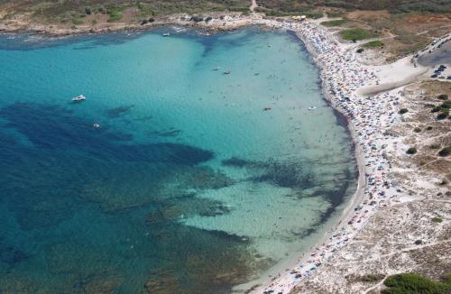 an aerial view of a beach with people in the water at Miriacheddu in San Teodoro