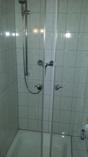 a shower with a glass door in a bathroom at Am Mühlteich in Taltitz