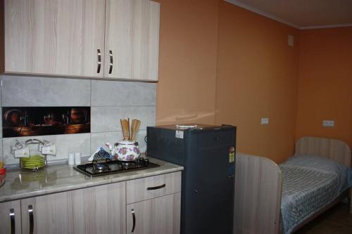 a kitchen with a black refrigerator next to a table at Guesthouse on Benashvili in Tbilisi City