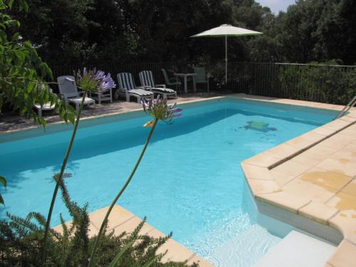 une piscine dans une cour avec un parasol dans l'établissement Domaine du bois gîte Marion, à Galargues