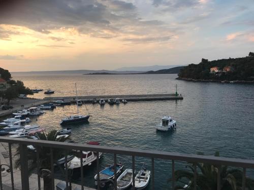 a group of boats are docked in a harbor at Divna Apartments and Rooms in Račišće