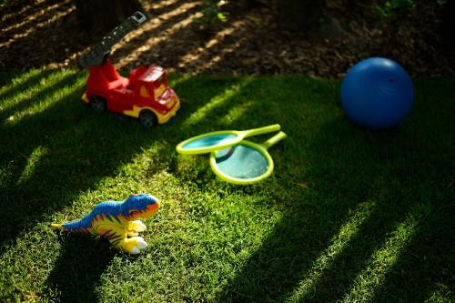 a toy toy truck and a toy ball on the grass at Villa Oliver 3 Siófok in Siófok