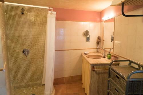 a bathroom with a shower and a sink at El Cobijo de Vejer in Vejer de la Frontera