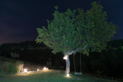 a tree with lights under it at night at Agriturismo Santa Giusta in Poggio San Lorenzo