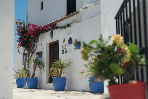 a house with a bunch of plants in front of it at El Cobijo de Vejer in Vejer de la Frontera