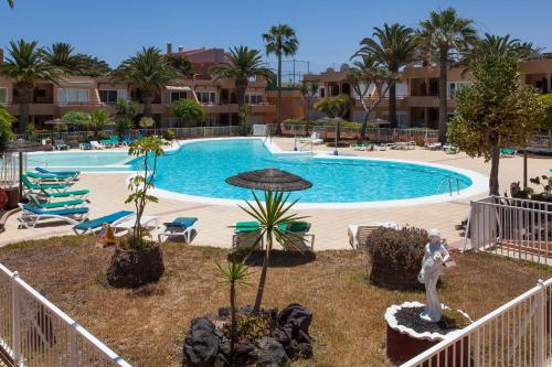 a large swimming pool in a resort with palm trees at Apartamento Kalma by Vacanzy Collection in Corralejo